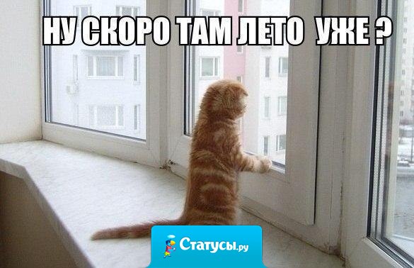 Ну скоро там лето уже?