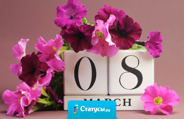 Подарки — это все ерунда, вот теплая погода и отличное настроение - нужные в празник вещи!