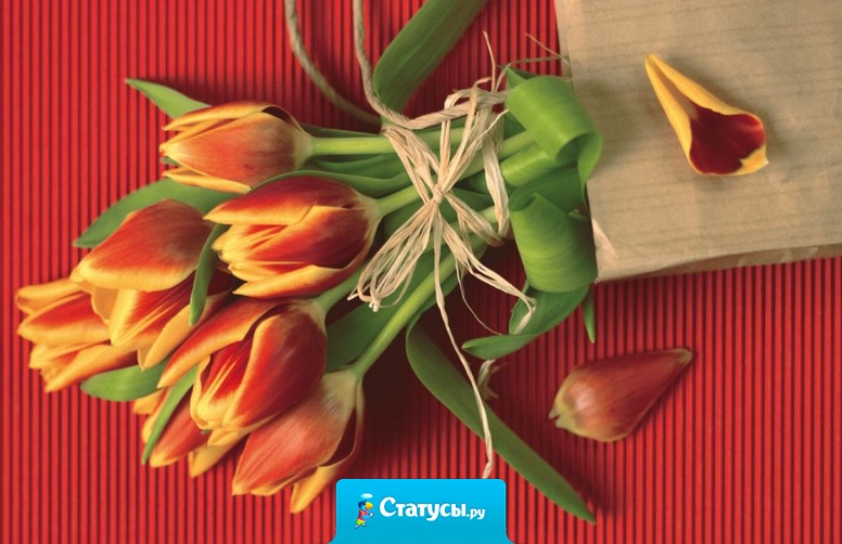 14 февраля и 8 марта создают у людей весеннее настроение!