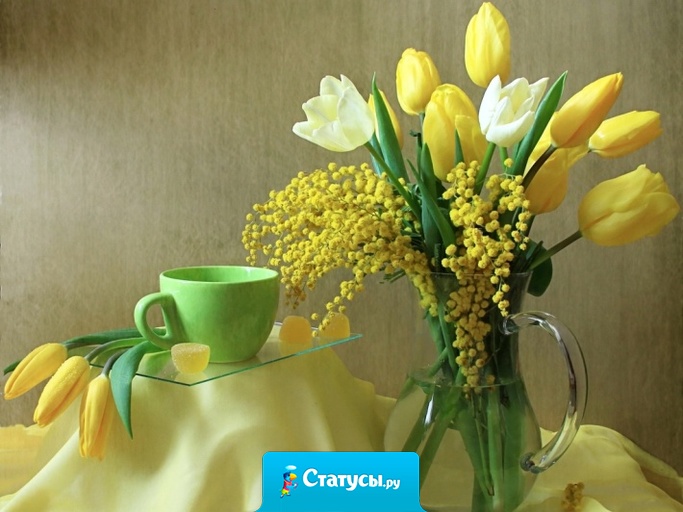 Мужики! К 8 марта разберите наконец ёлку!  На её месте ещё полгода будет стоять мимоза...