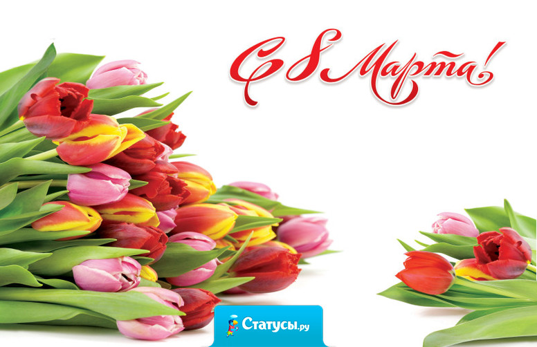 Дорогие девочки, девушки, женщины, мамы, бабушки, тещи! Мы вас любим и поздравляем!