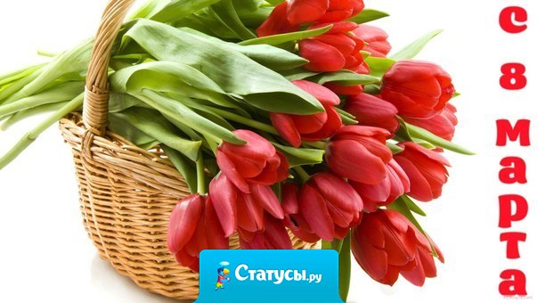 Я поздравляю вас сегодня, пускай сбываются мечты. Прекрасный день – 8 марта, день нежности и красоты!