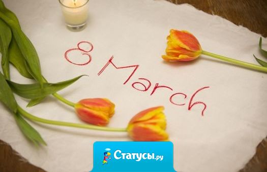 Нынче женщины привлекают общественное мнение к себе не митингами, а выпитингами. На равне с мужчинами.