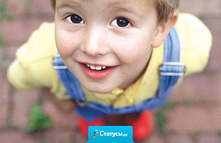 Когда я был маленьким, мне большими казались не только деревья, но и кусты, а порой и цветы…