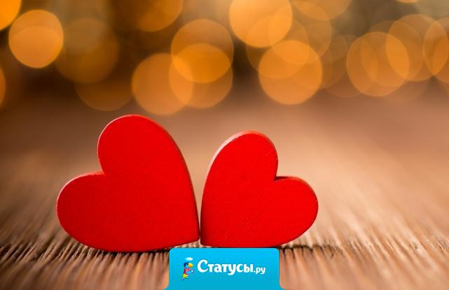 Когда любишь – не просто прощаешь. Даже не задумываешься о том, что мог бы не простить…