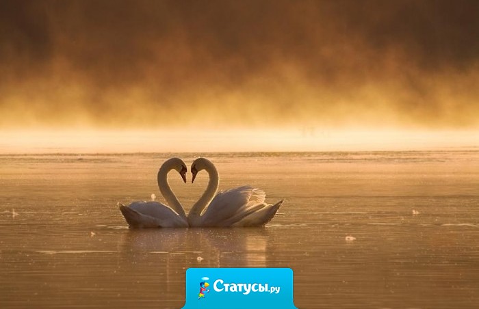 От любви не умирают…умирают когда любовь уходит…