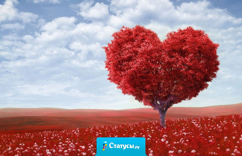 Только поистине светлый сердцем человек может влюбиться «от искорки» будучи в преклонном возрасте…