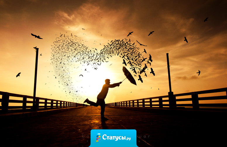 Вчера в метро я видела глаза…он вышел на той же станции, что и я и ехал в том же троллейбусе…сегодня я целый день катаюсь в том самом троллейбусе…это любовь?