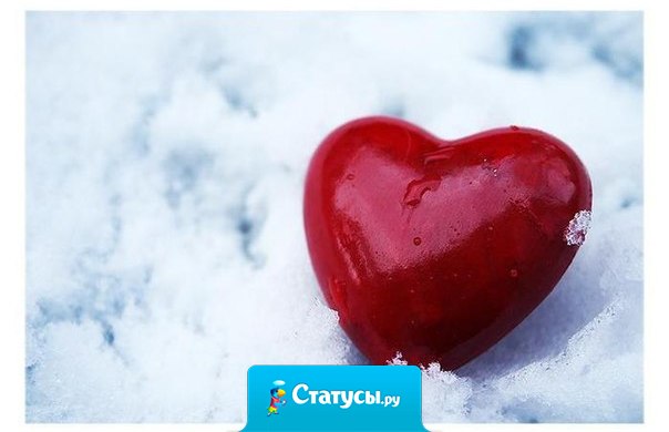 Любовь, как птица, она влетает в твое сердце и вылетает из него тогда, когда сама того пожелает.