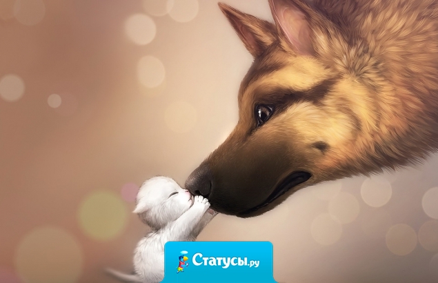 Каждый из нас сам решает, заведет ли он собаку или кошку, на какую работу устроиться, в каком городе жить. Но дружба такая странная штука – она сама решает, что соединит двух людей.