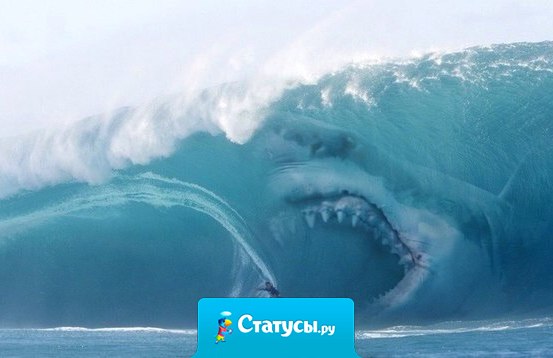 Я и мои задние мысли.