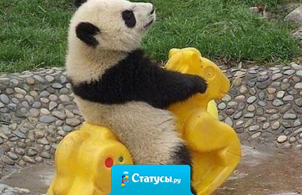 Сколько бы мне лет не было, я всегда буду страдать фигней