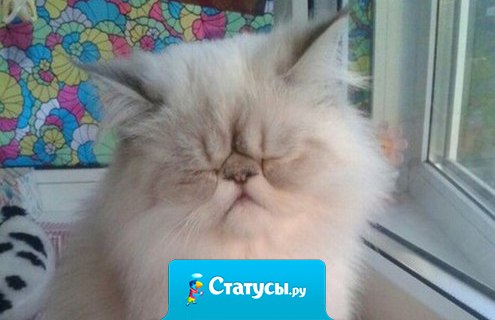 Вот примерно на столько я бодренький по утрам