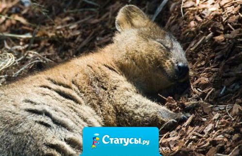 Это я оперативно решаю накопившиеся проблемы