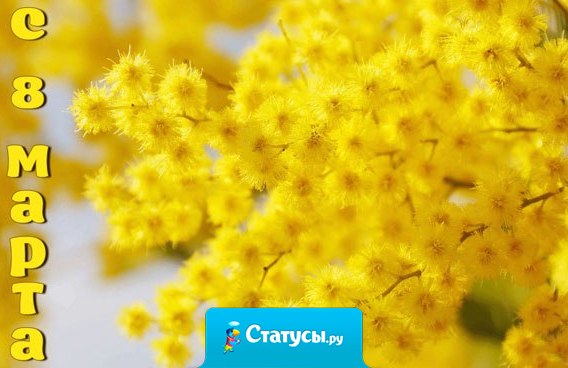 С днем 8 Марта, с праздником весенним! Льется пусть повсюду, звонкое веселье! Пусть сияет солнце, пусть уйдут морозы! Пусть прогонит зиму, веточка мимозы!