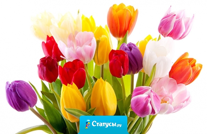 8 Марта - практически единственный день, когда женщина соглашается со всем, что говорится в ее адрес.