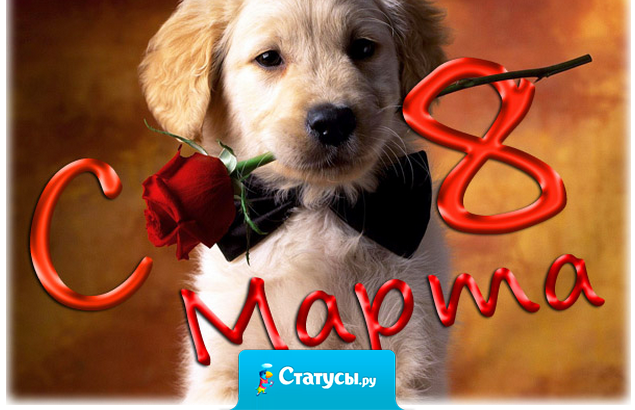 Хочу, чтоб на 8 марта мне звонил Бред Питт, а я такая спала и сбрасывала!