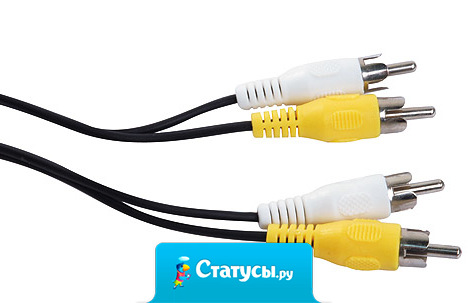 Жена избила мужа 8 марта двумя тюльпанами…