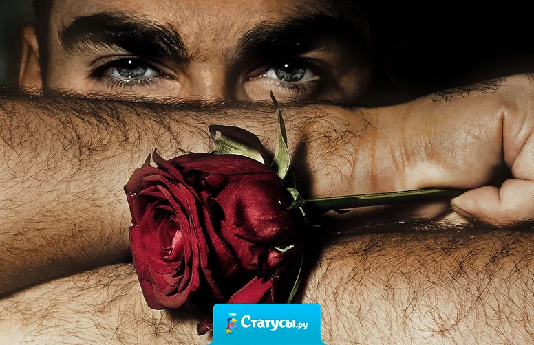 По результатам соцопроса 7% мужчин сказали, что на 8 марта подарят любимым женщинам цветы, а 93% - цветок.