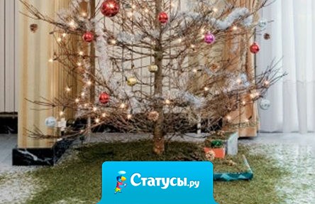 Если не знаете, что подарить жене на 8 марта - разберите, наконец, ёлку!