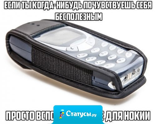 Если когда-нибудь почувствуешь себя бесполезным просто вспомни о чехле для нокии