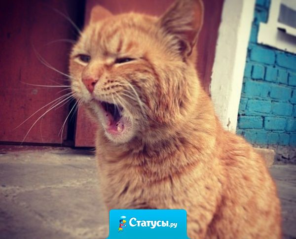 Не высыпаться - это что-то вроде моей суперспособности